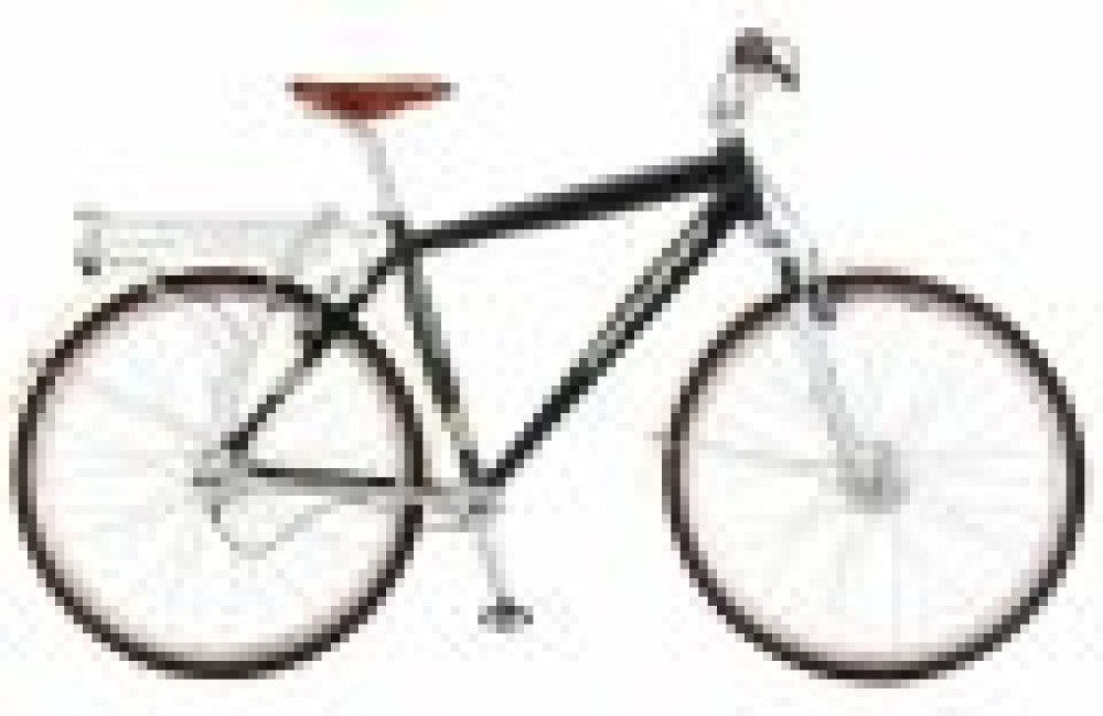 En exclusivit&eacute; en Suisse: deux mod&egrave;les de la marque Schwinn!