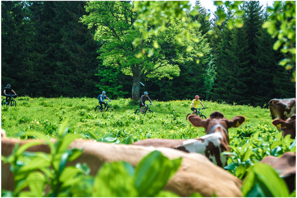 easydays - Une semaine d&eacute;j&agrave; que nous avons eu ce magnifique week-end !