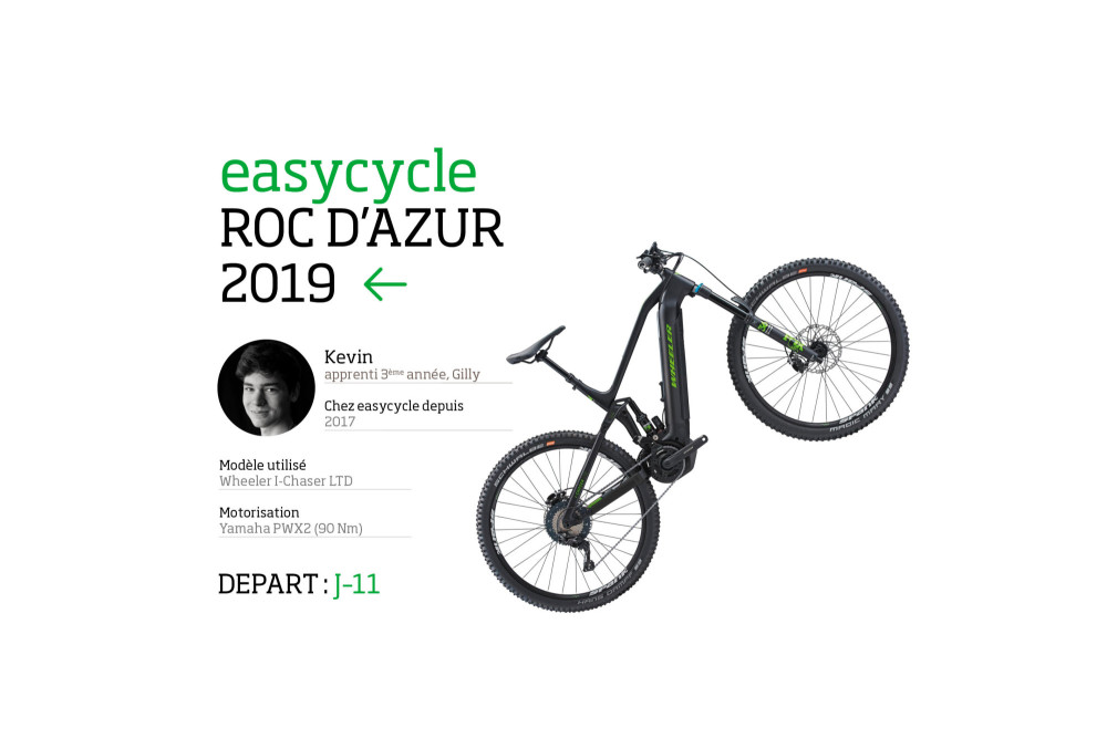 Kevin, le zorille de Gilly